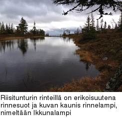 Riisitunturin rinteill on erikoisuutena rinnesuot ja kuvan kaunis rinnelampi, nimeltn Ikkunalampi